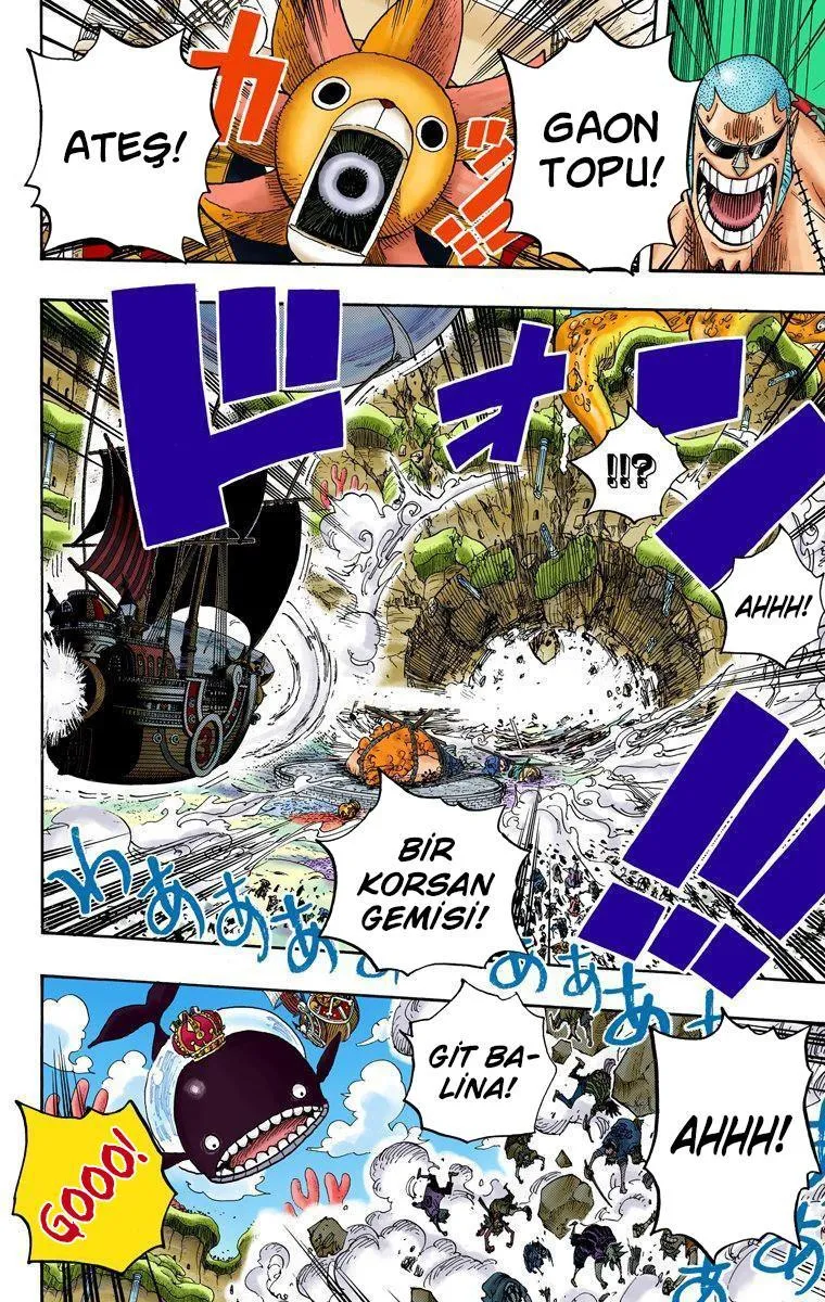 One Piece [Renkli] - Sayfa 15