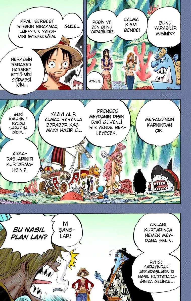 One Piece [Renkli] - Sayfa 5