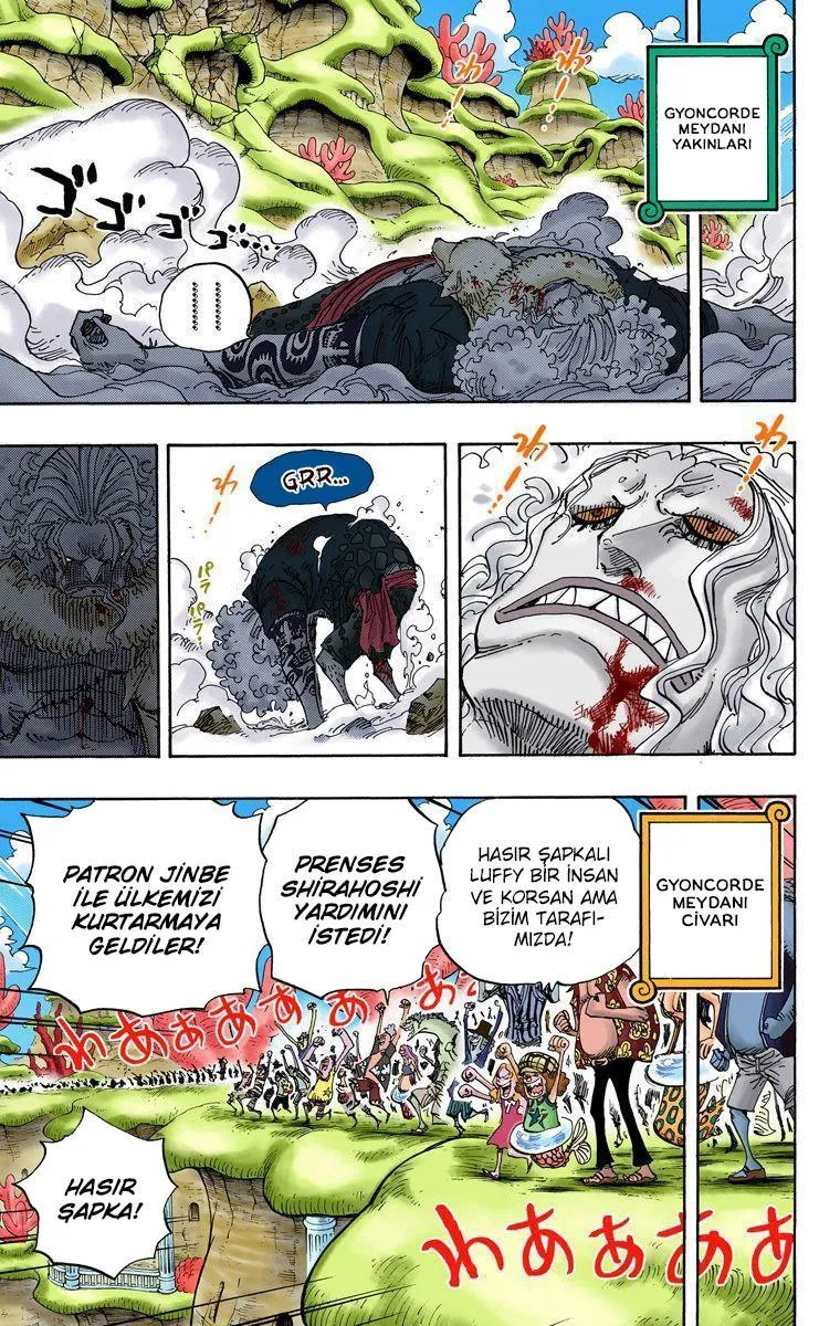 One Piece [Renkli] - Sayfa 7