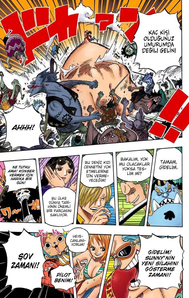 One Piece [Renkli] - Sayfa 16
