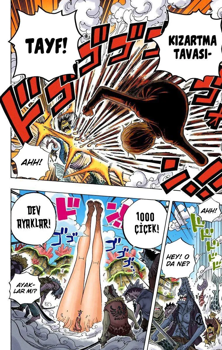 One Piece [Renkli] - Sayfa 12