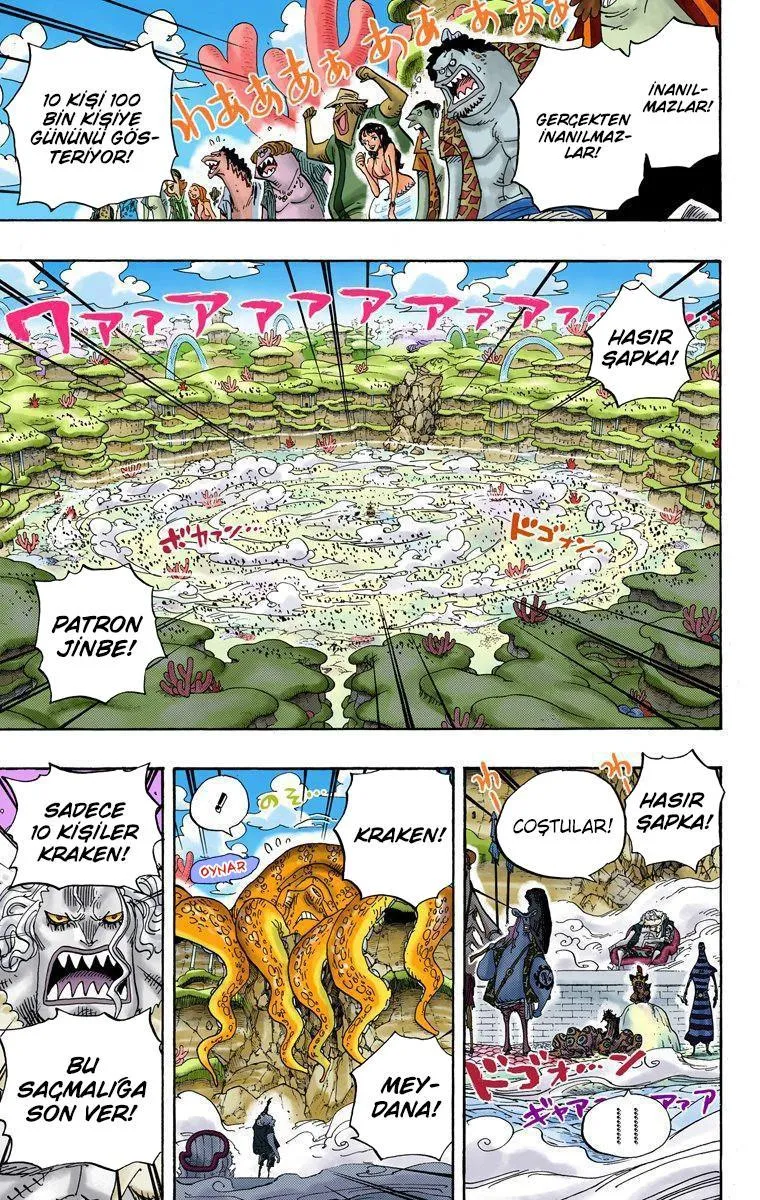 One Piece [Renkli] - Sayfa 17