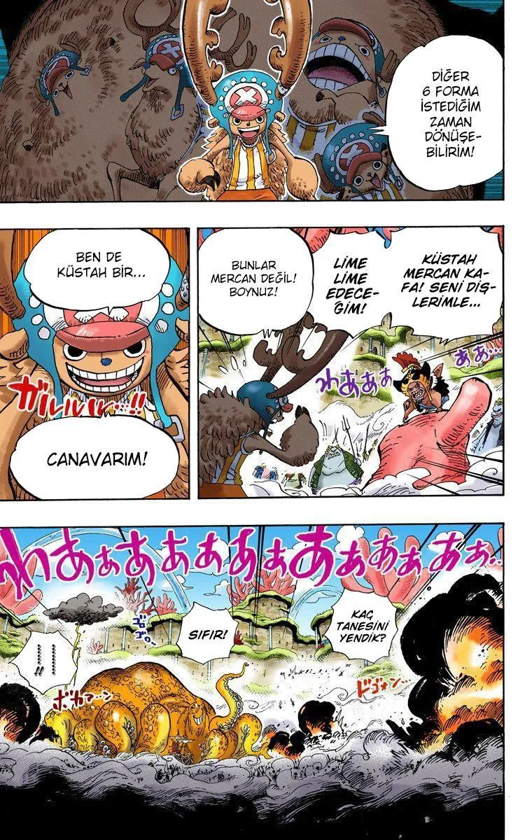 One Piece [Renkli] - Sayfa 13