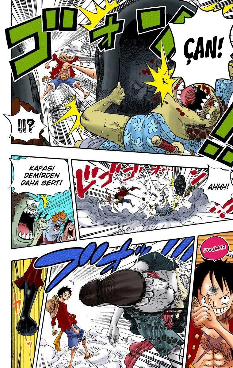 One Piece [Renkli] - Sayfa 5