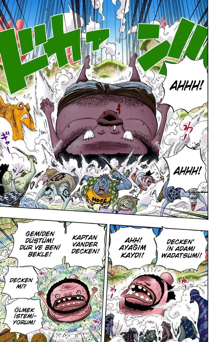 One Piece [Renkli] - Sayfa 12