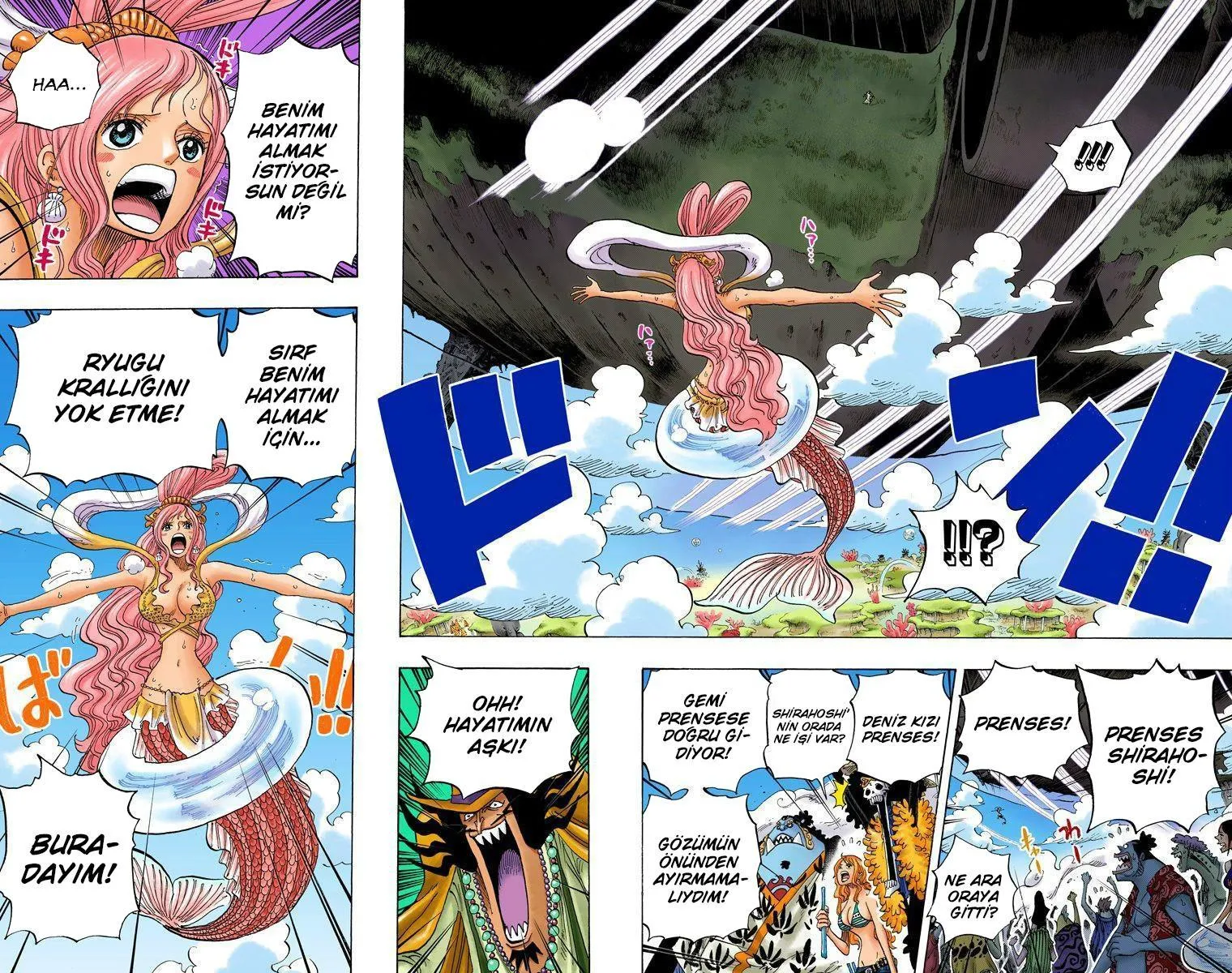 One Piece [Renkli] - Sayfa 15