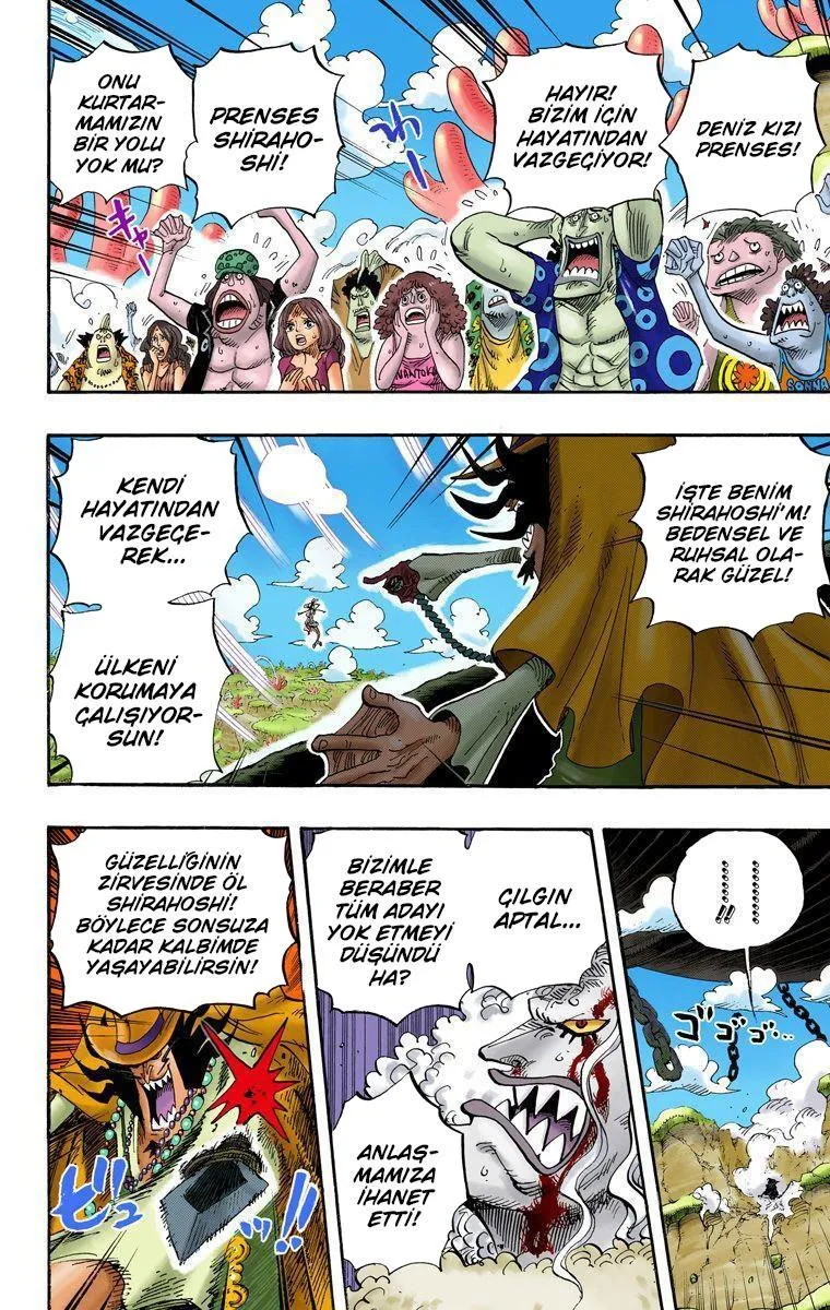 One Piece [Renkli] - Sayfa 16