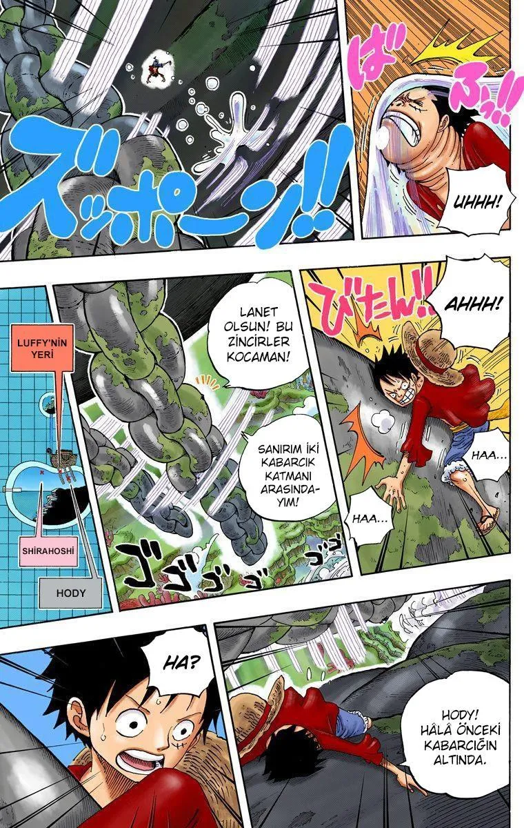 One Piece [Renkli] - Sayfa 6