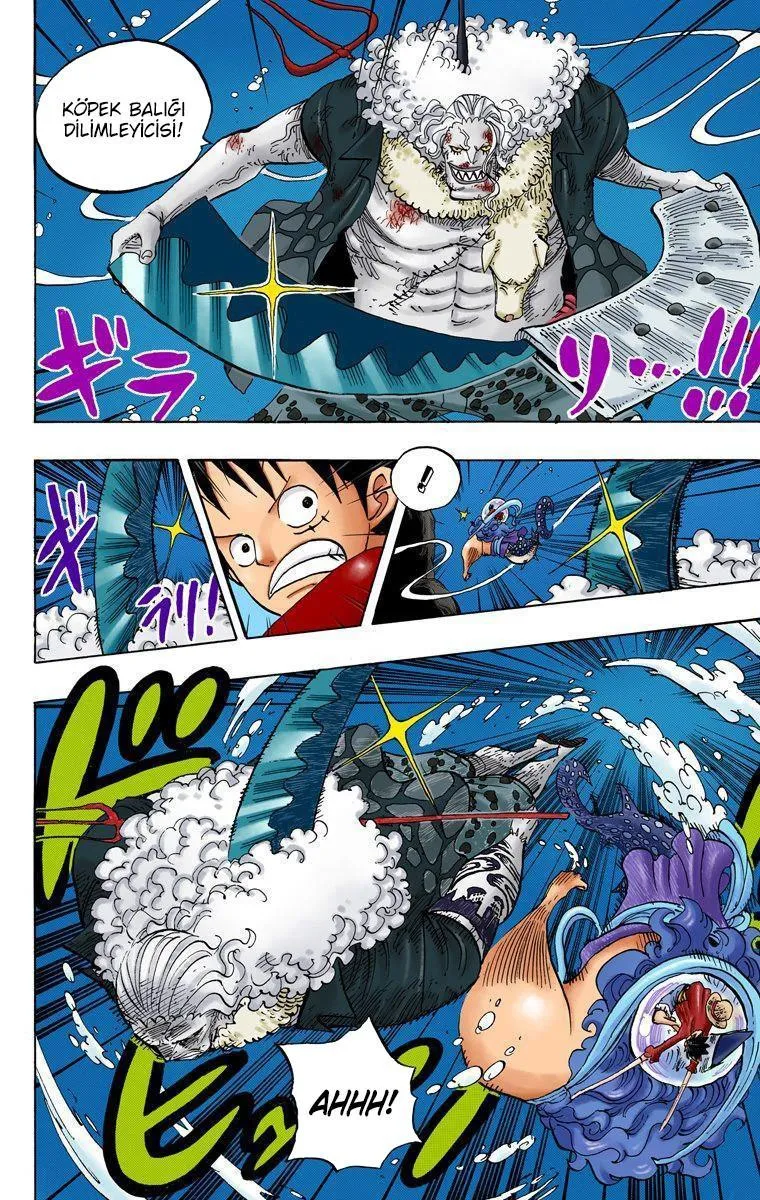 One Piece [Renkli] - Sayfa 16