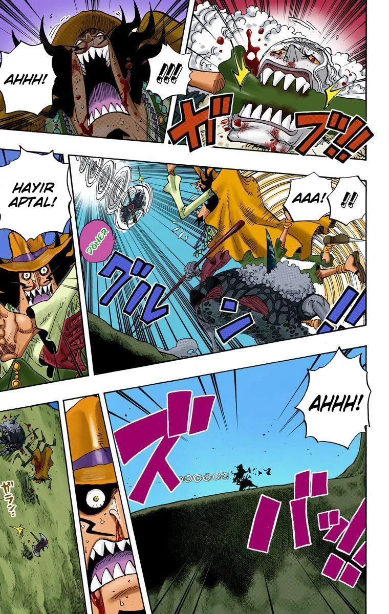 One Piece [Renkli] - Sayfa 6