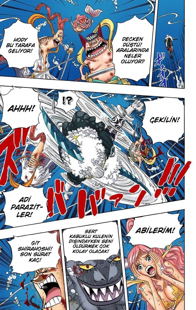 One Piece [Renkli] - Sayfa 8