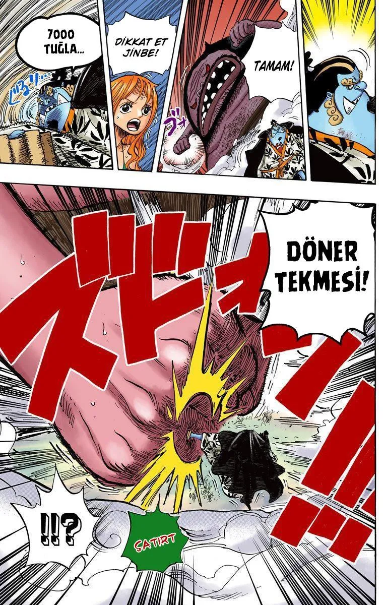 One Piece [Renkli] - Sayfa 14