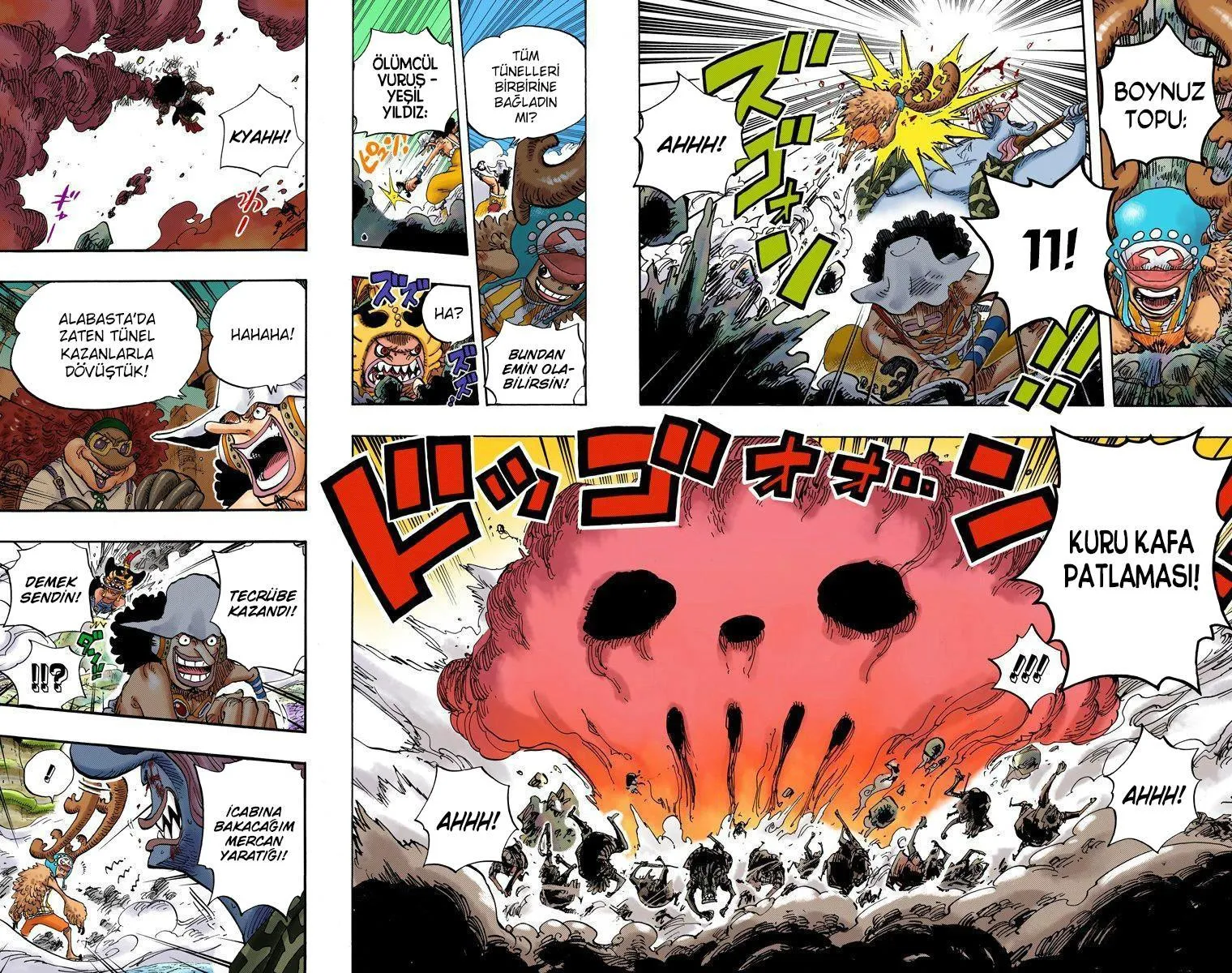 One Piece [Renkli] - Sayfa 11