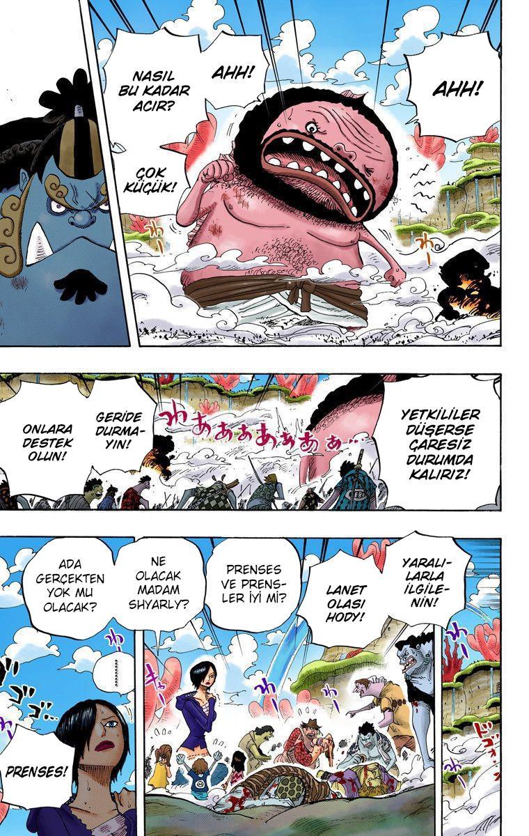 One Piece [Renkli] mangasının 0640 bölümünün 13. sayfasını okuyorsunuz.