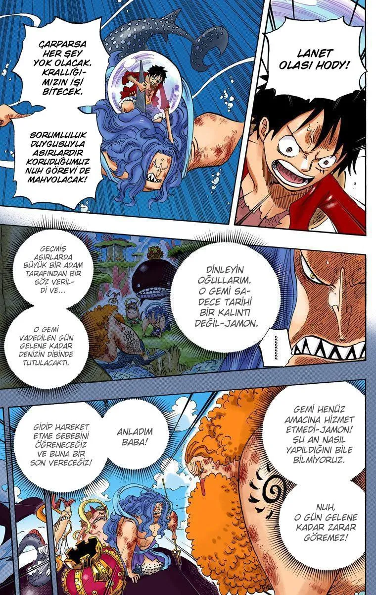 One Piece [Renkli] - Sayfa 4