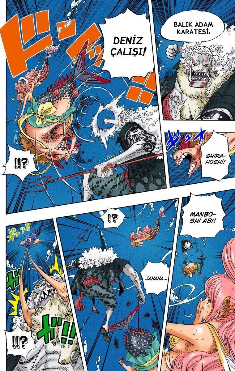 One Piece [Renkli] - Sayfa 7