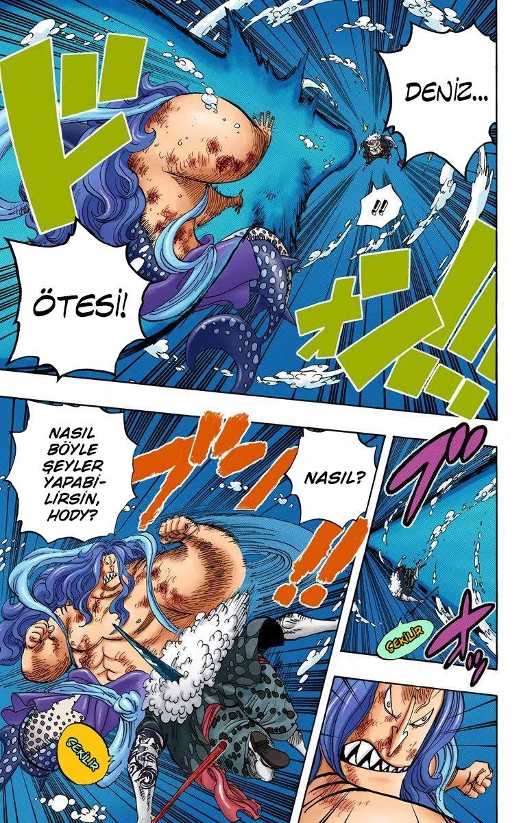 One Piece [Renkli] - Sayfa 12