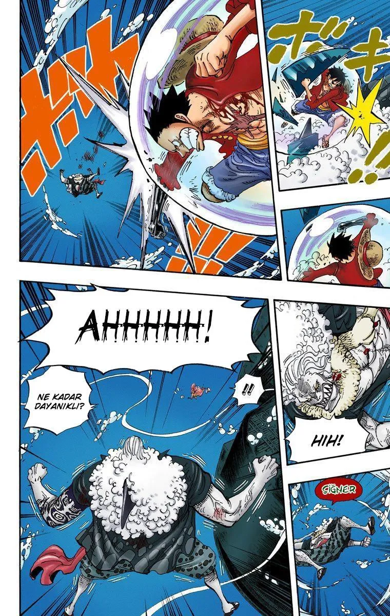 One Piece [Renkli] - Sayfa 19