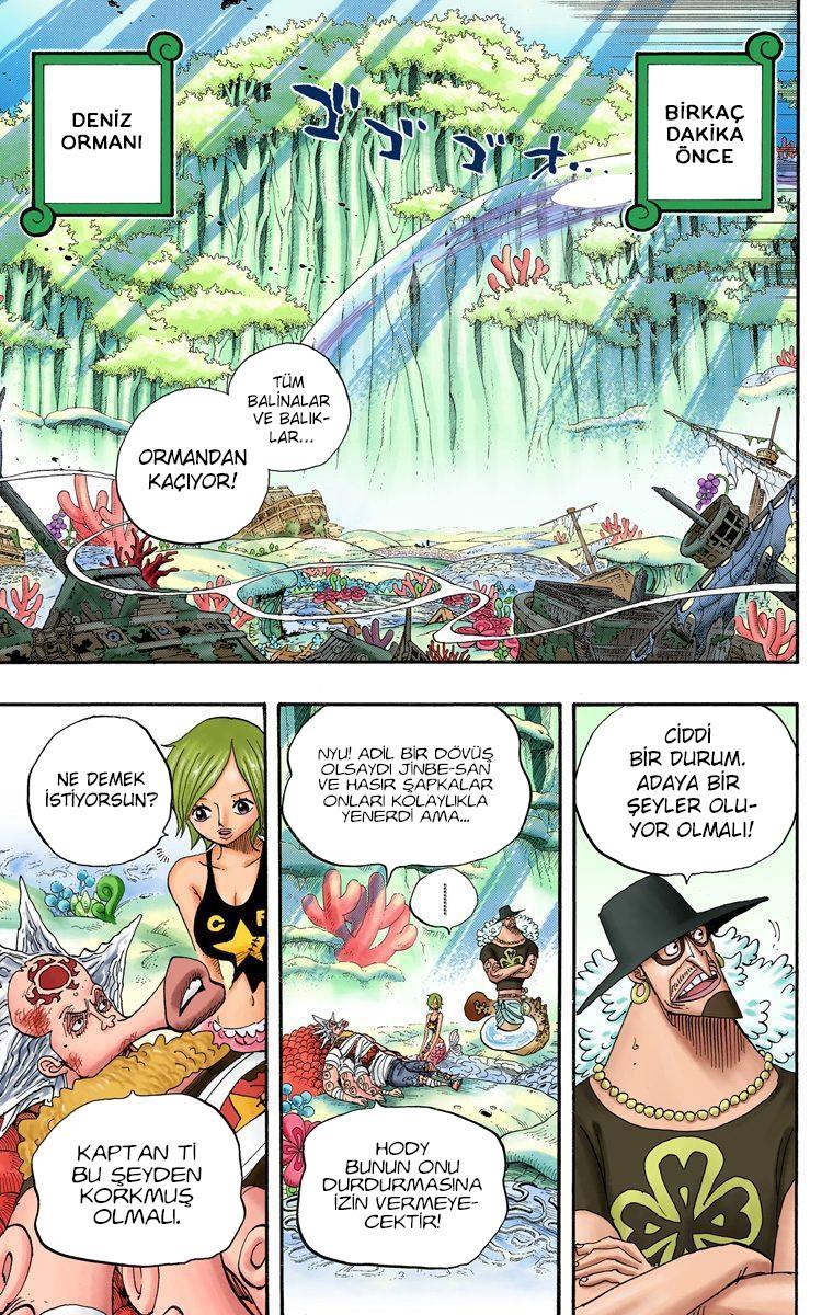 One Piece [Renkli] mangasının 0642 bölümünün 3. sayfasını okuyorsunuz.