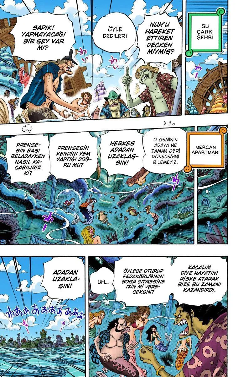 One Piece [Renkli] - Sayfa 5