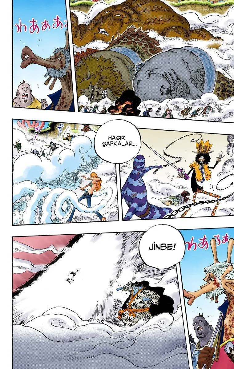 One Piece [Renkli] - Sayfa 8