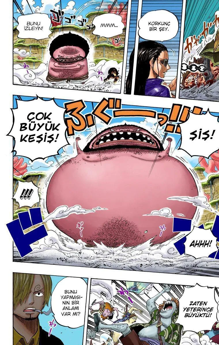 One Piece [Renkli] - Sayfa 12