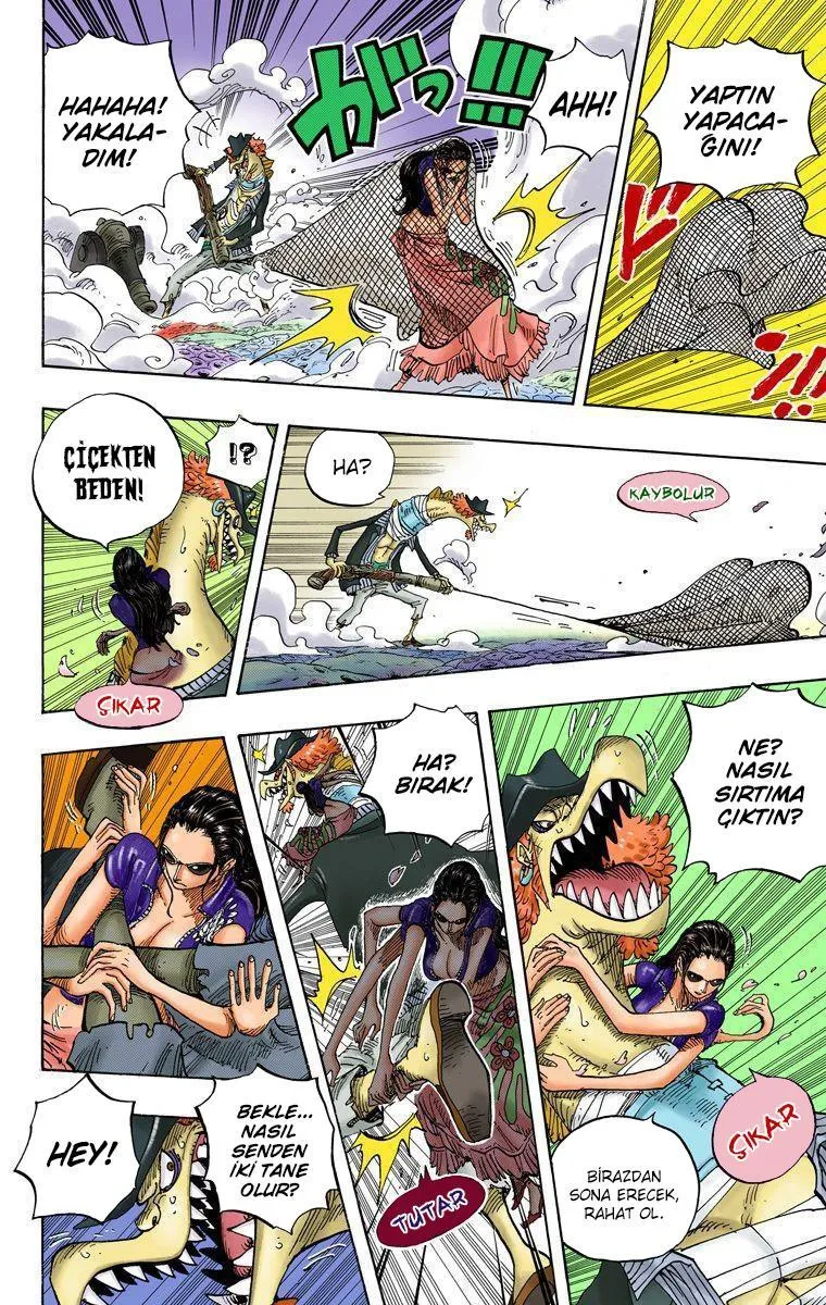 One Piece [Renkli] - Sayfa 5