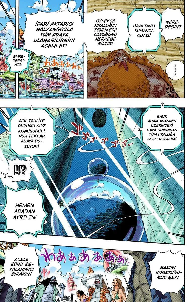 One Piece [Renkli] - Sayfa 14