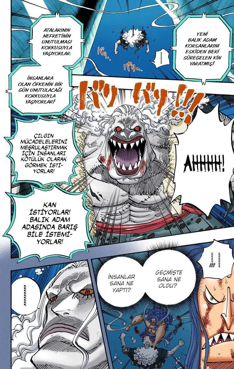 One Piece [Renkli] - Sayfa 19