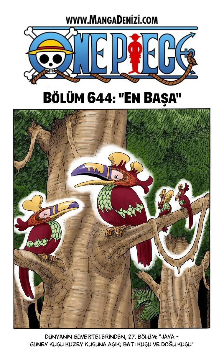 One Piece [Renkli] - Sayfa 2