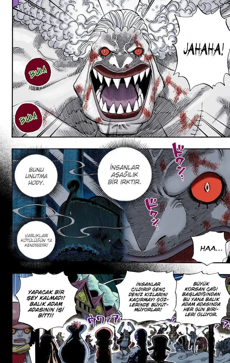 One Piece [Renkli] - Sayfa 5