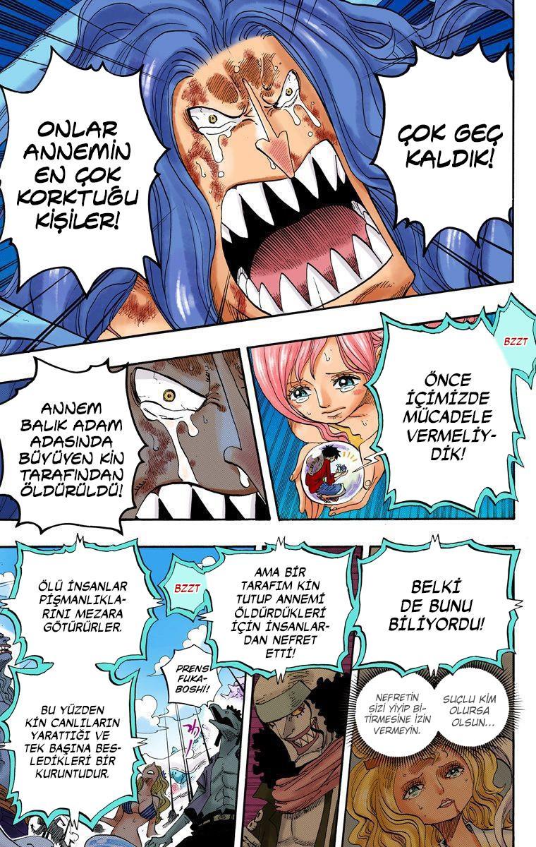 One Piece [Renkli] mangasının 0644 bölümünün 14. sayfasını okuyorsunuz.