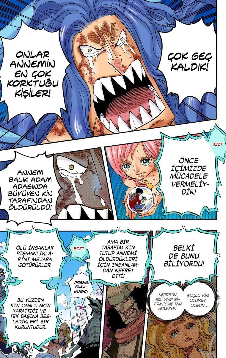 One Piece [Renkli] - Sayfa 14