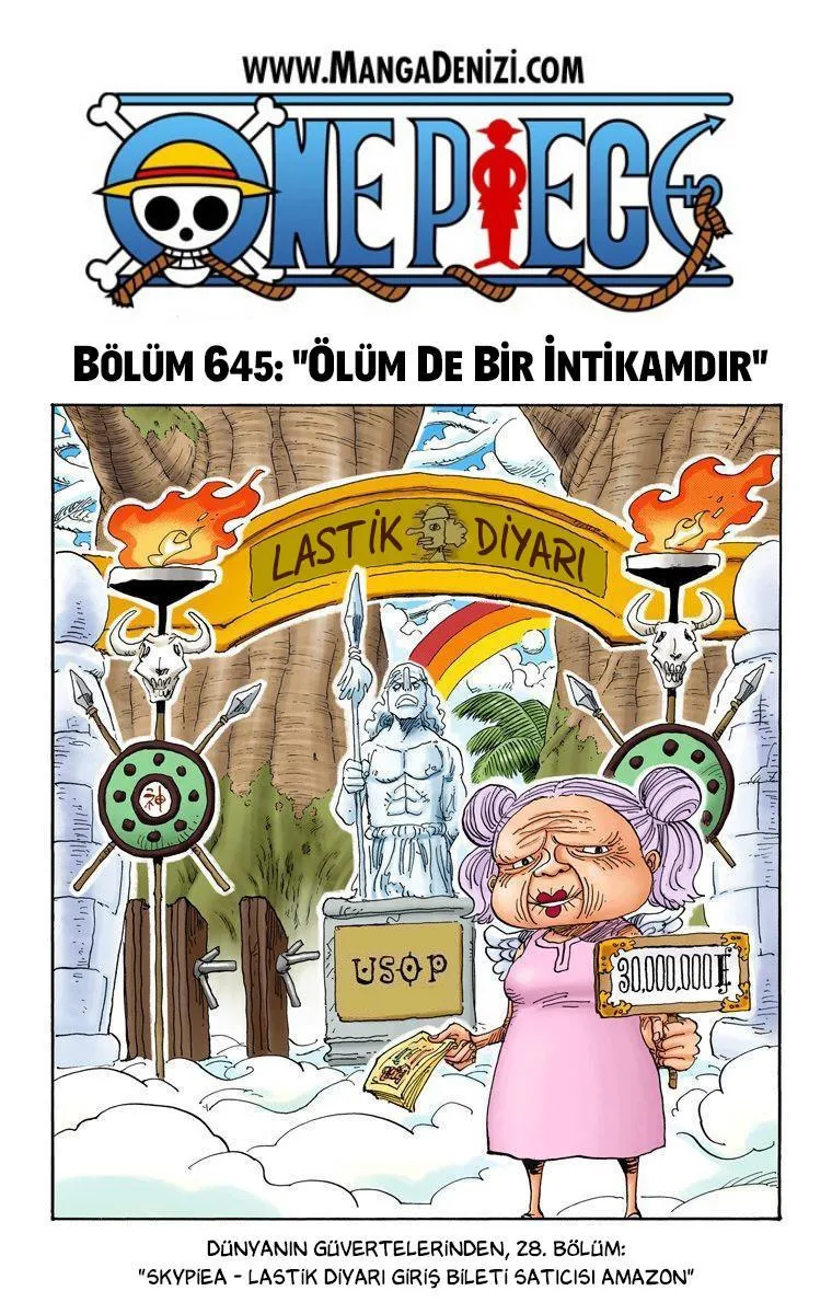 One Piece [Renkli] - Sayfa 2