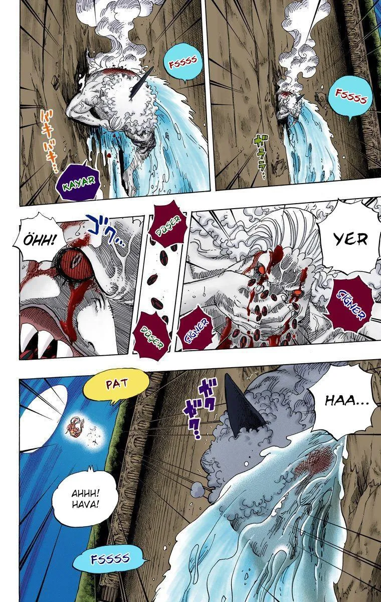 One Piece [Renkli] - Sayfa 5