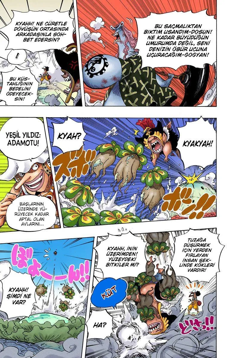 One Piece [Renkli] - Sayfa 4