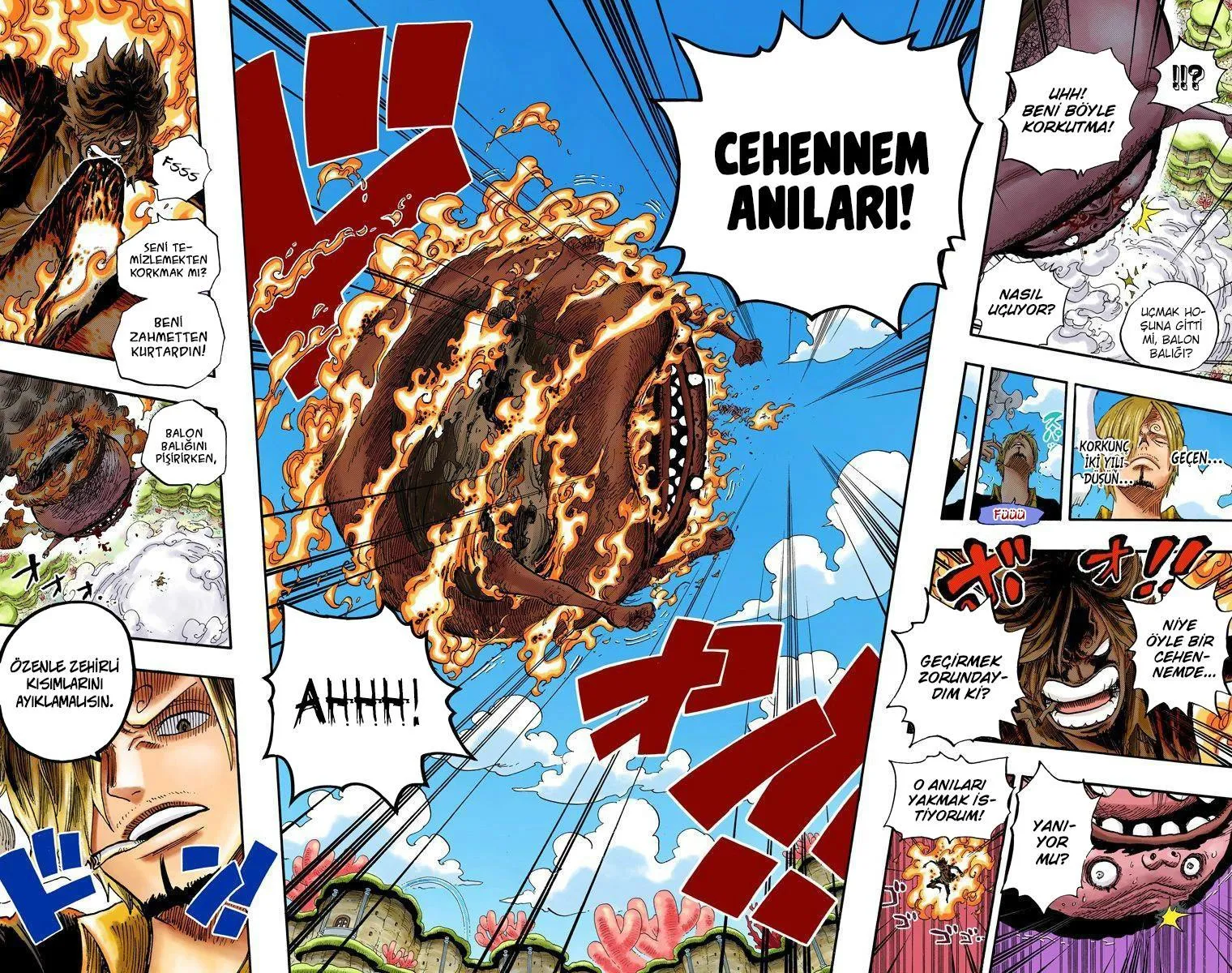 One Piece [Renkli] - Sayfa 12