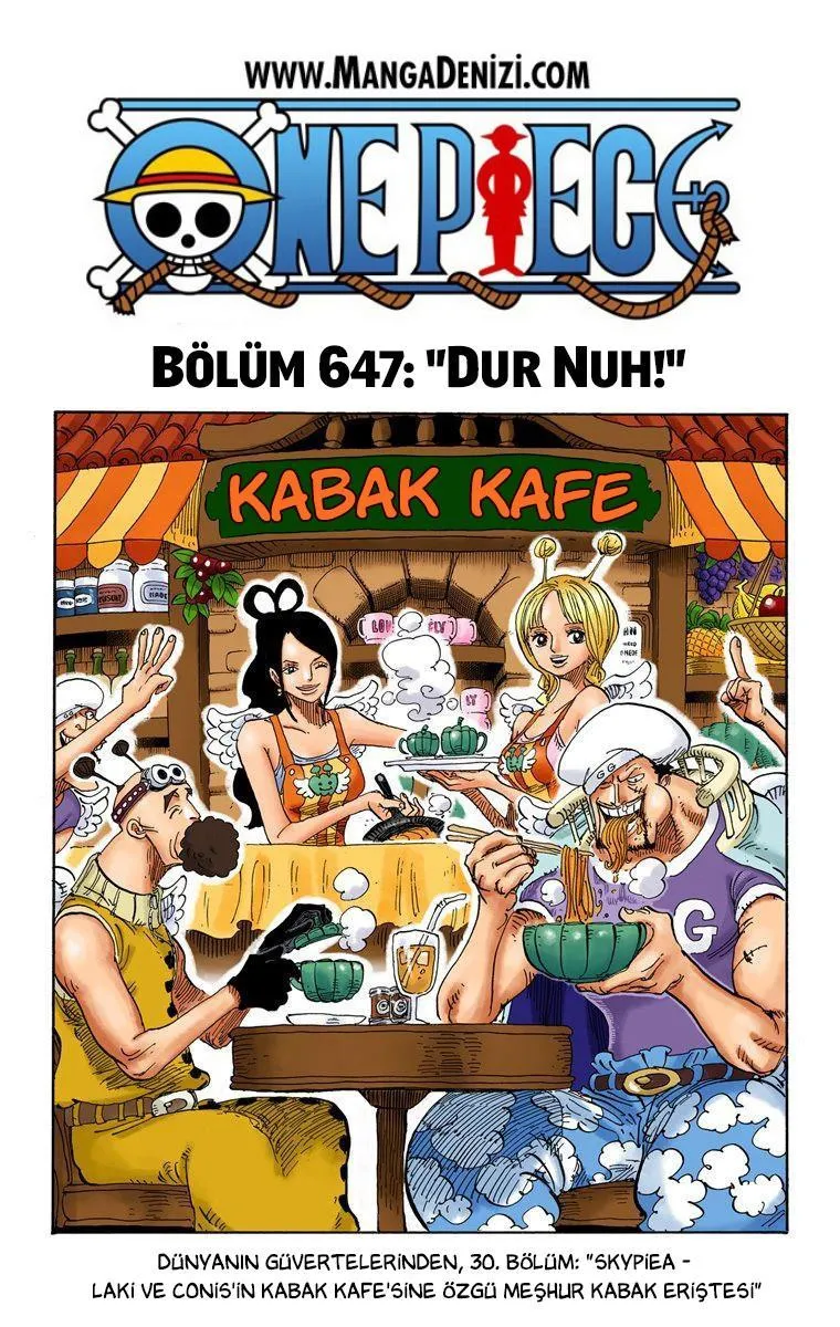 One Piece [Renkli] - Sayfa 2