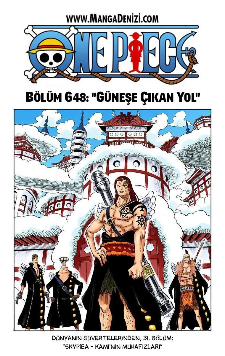 One Piece [Renkli] - Sayfa 2