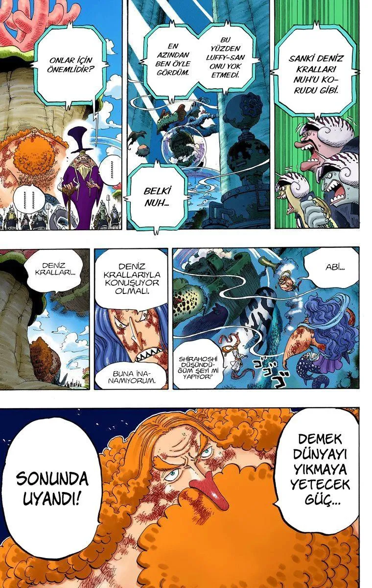 One Piece [Renkli] - Sayfa 4