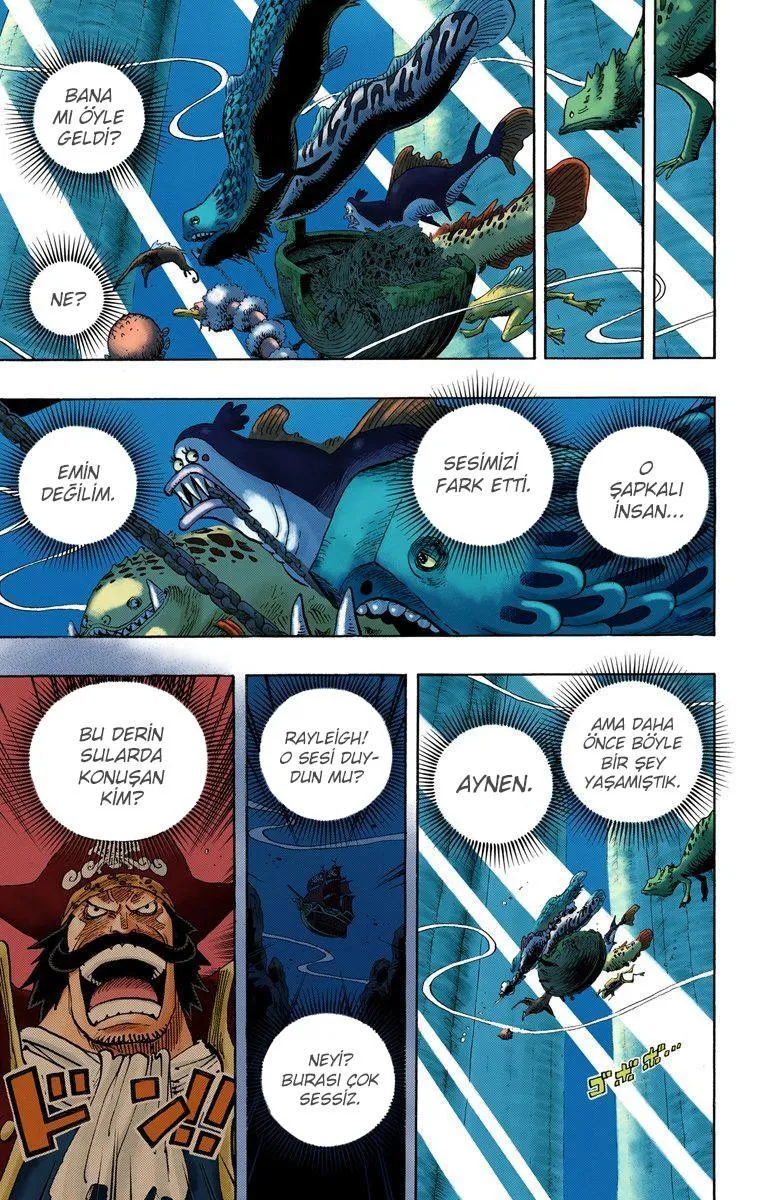 One Piece [Renkli] - Sayfa 6