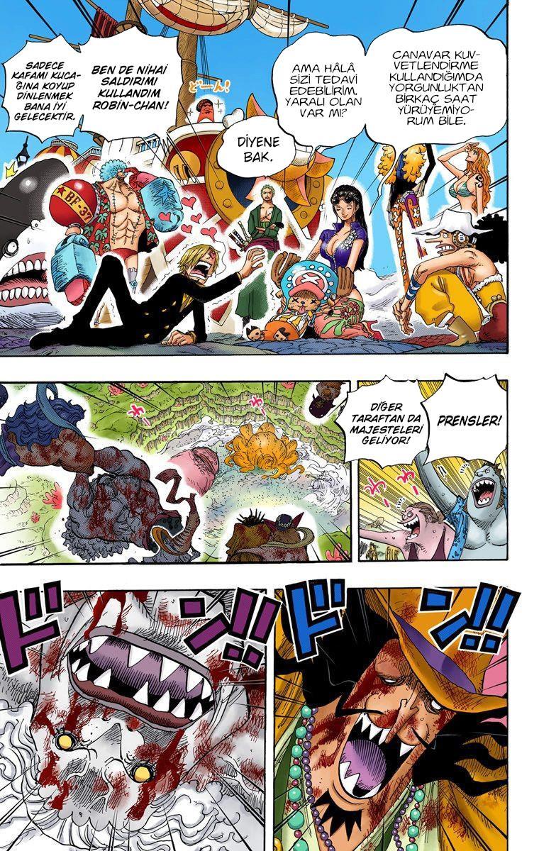 One Piece [Renkli] mangasının 0648 bölümünün 11. sayfasını okuyorsunuz.