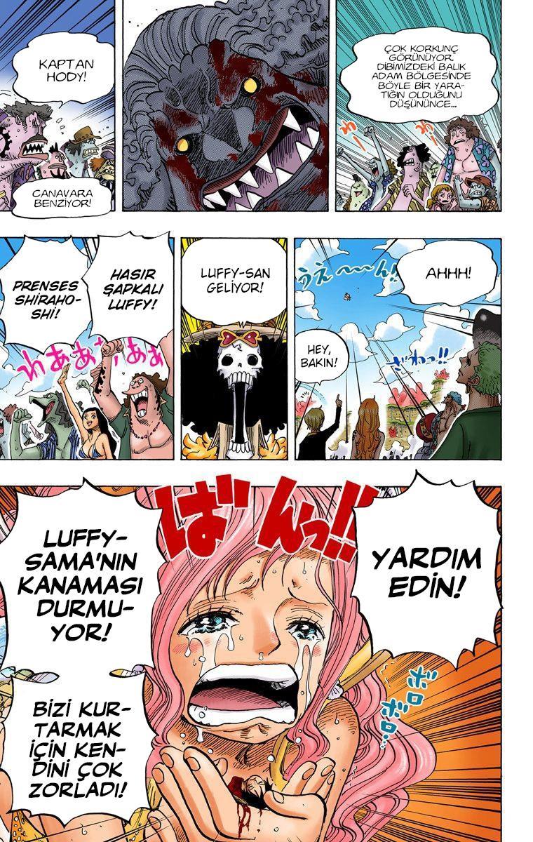 One Piece [Renkli] mangasının 0648 bölümünün 13. sayfasını okuyorsunuz.