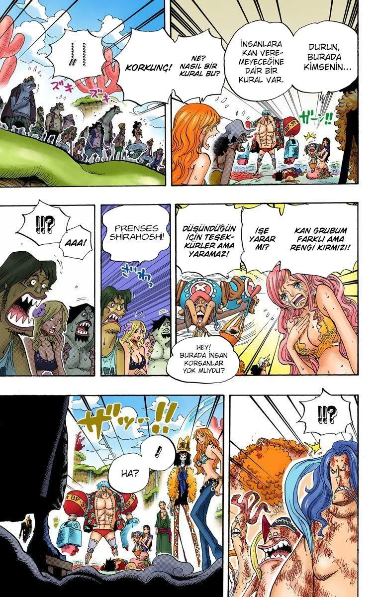 One Piece [Renkli] - Sayfa 15