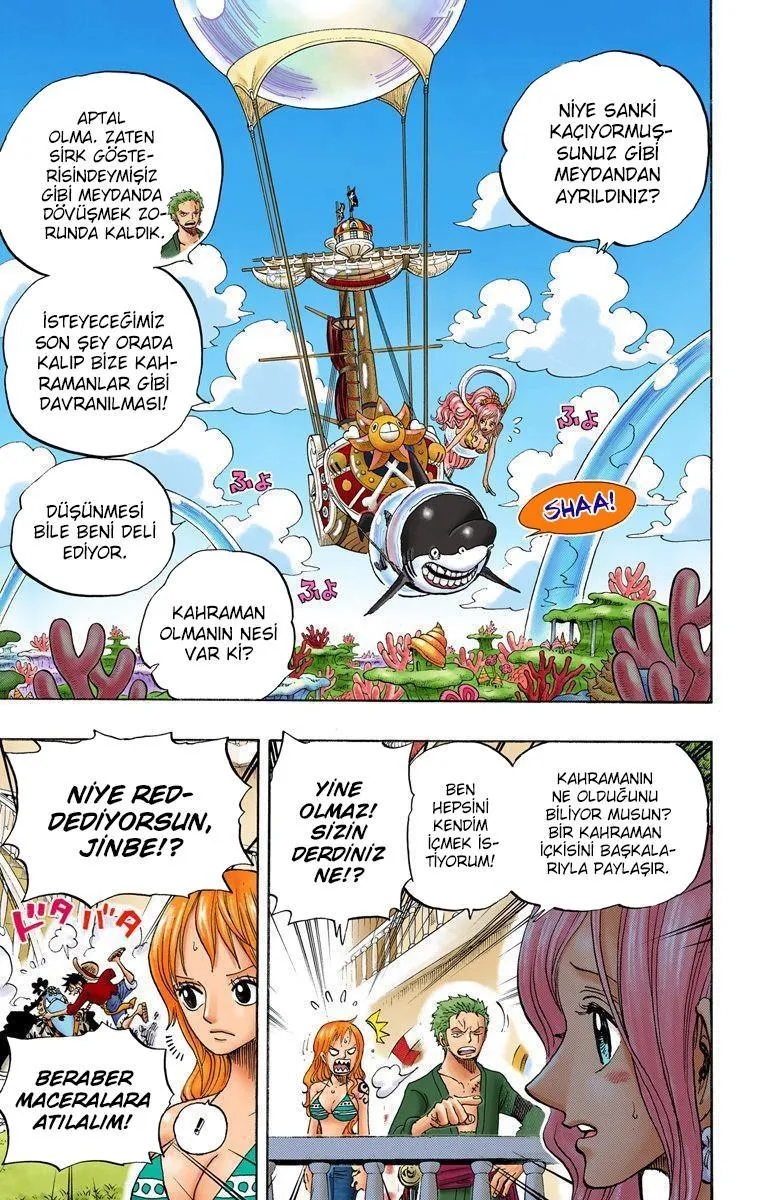 One Piece [Renkli] - Sayfa 6
