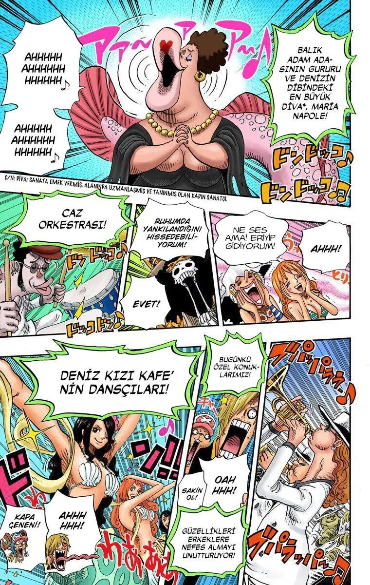 One Piece [Renkli] - Sayfa 12