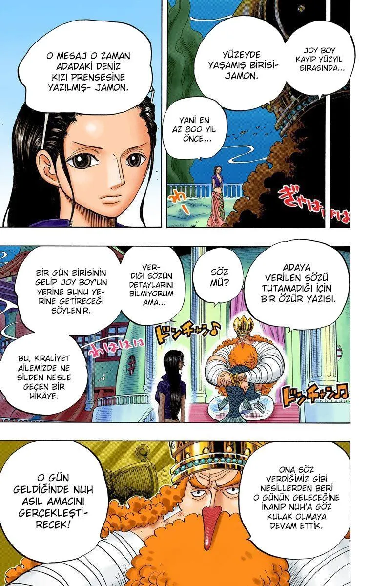 One Piece [Renkli] - Sayfa 17