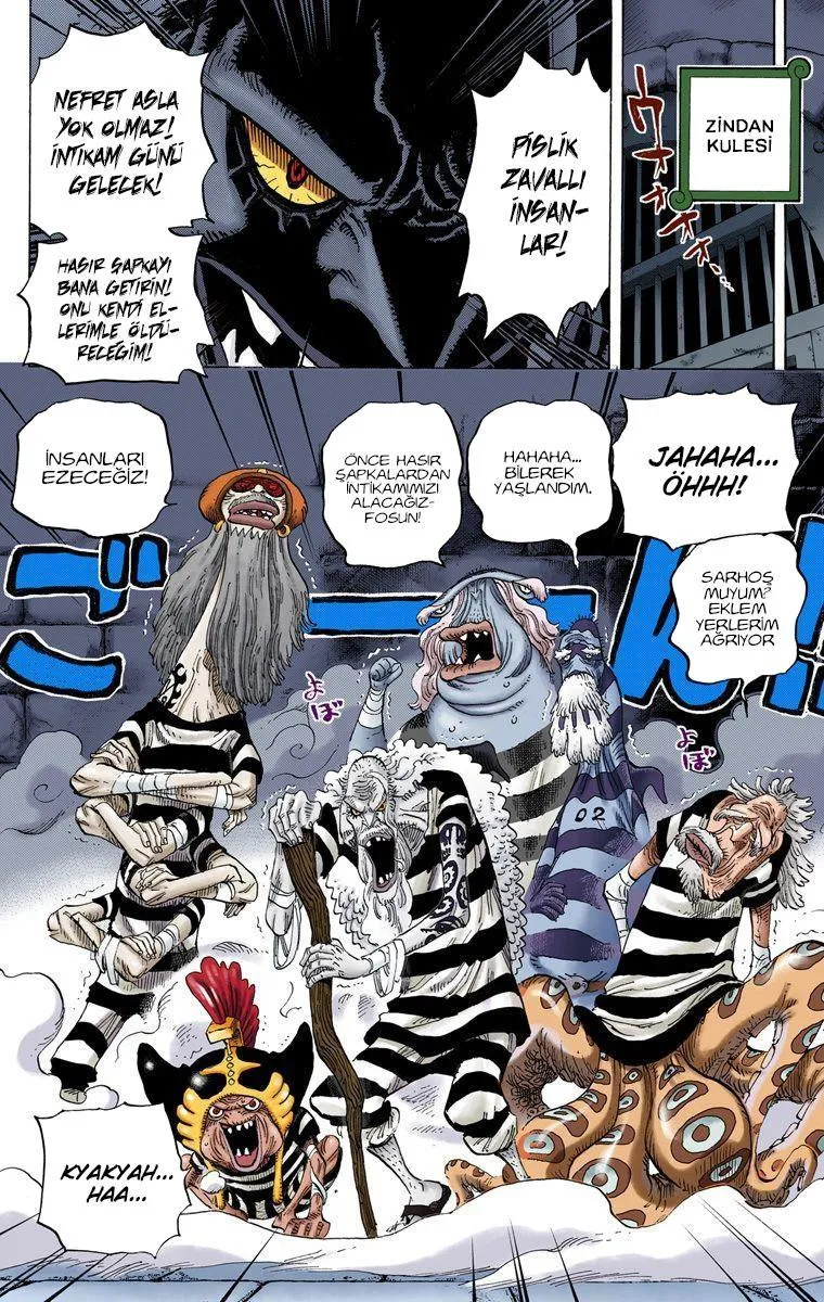 One Piece [Renkli] - Sayfa 15