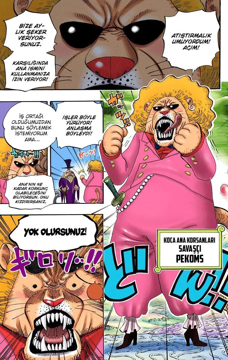 One Piece [Renkli] - Sayfa 5