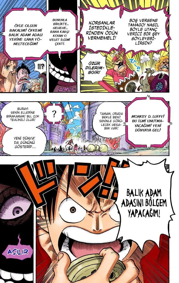 One Piece [Renkli] - Sayfa 18